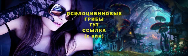 метамфетамин Алексеевка