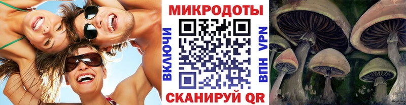 Галлюциногенные грибы Psilocybe  как найти закладки  Брюховецкая 