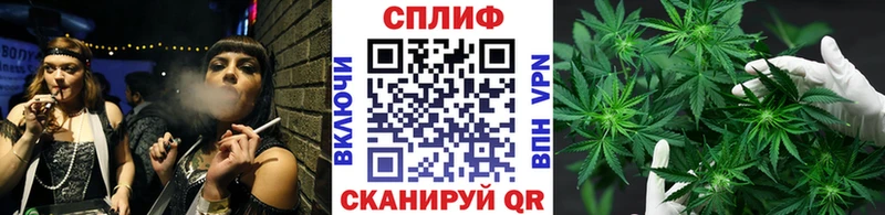 Канабис SATIVA & INDICA  Брюховецкая 